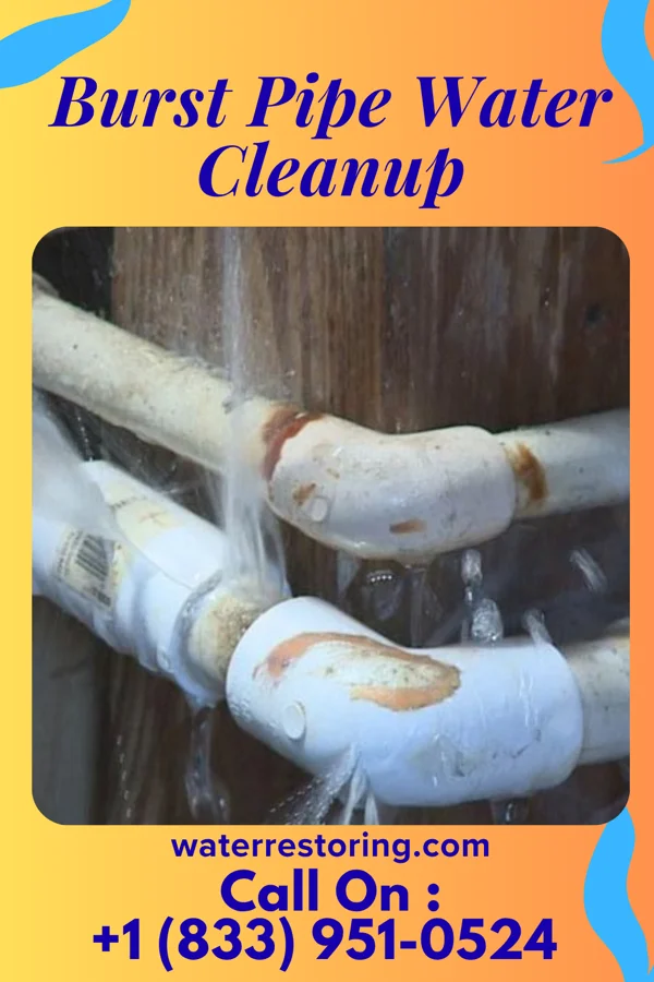 Burst Pipe Water Cleanup in Union City, TN