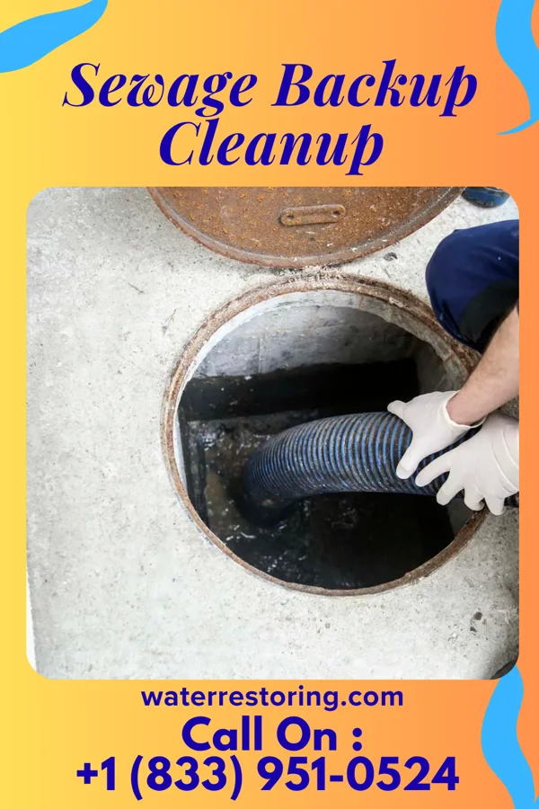 Sewage Backup Cleanup in Union City, TN